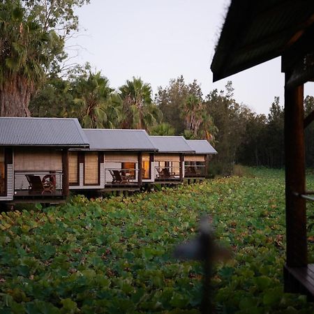 The Boathouses At Leaves & Fishes Lovedale Exterior photo