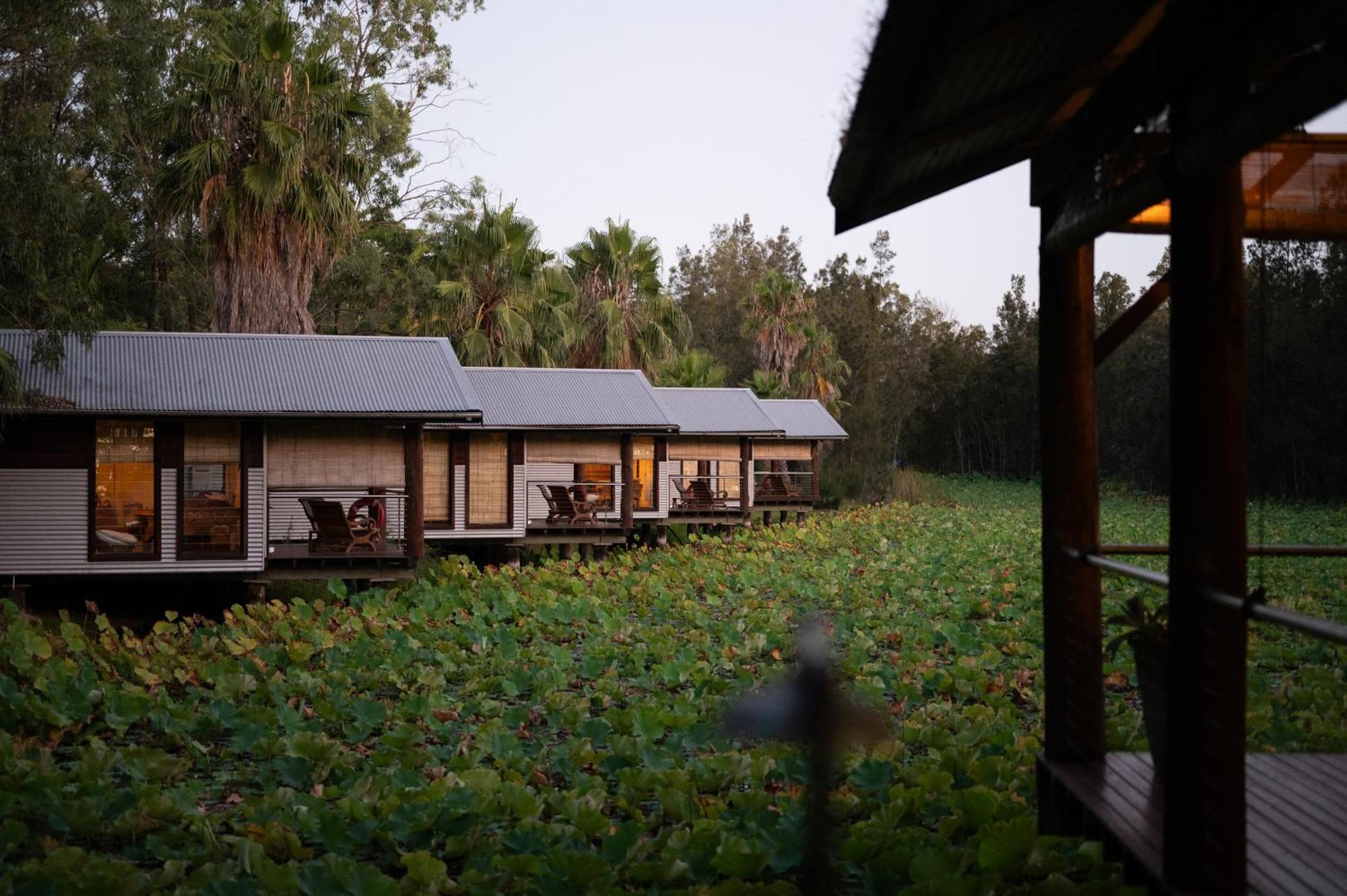 The Boathouses At Leaves & Fishes Lovedale Exterior photo