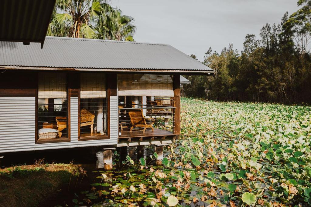 The Boathouses At Leaves & Fishes Lovedale Exterior photo