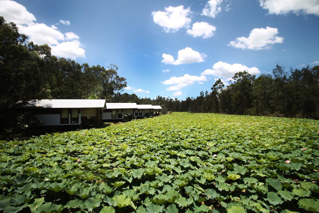 The Boathouses At Leaves & Fishes Lovedale Exterior photo